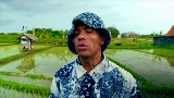 Thumbnail video SET ME FREE