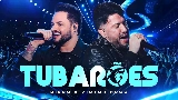 Thumbnail video Tubarões - Ao Vivo