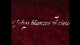 Thumbnail video Globos Blancos al Cielo