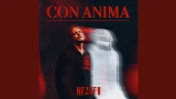 Thumbnail video con Anima