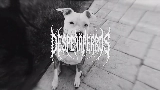 Thumbnail video MARTINETE