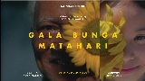 Thumbnail video Gala bunga matahari