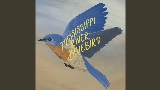 Thumbnail video Mississippi River Bluebird