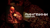 Thumbnail video ЛИНГВИНИ