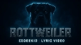 Thumbnail video Rottweiler