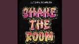 Thumbnail video Shake The Room