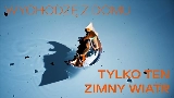 Thumbnail video tofu