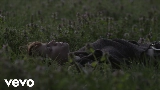 Thumbnail video Ricordi (con Elisa)