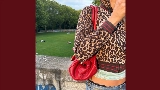 Thumbnail video Leopard