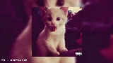 Thumbnail video янпс