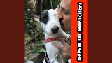 Thumbnail video Tek Aşkıma - Onurr Demo