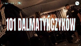 Thumbnail video 101 DALMATYŃCZYKÓW