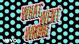 Thumbnail video What Went Wrong
