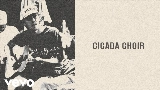 Thumbnail video Cicada Choir