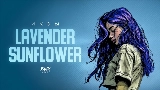 Thumbnail video Lavender Sunflower
