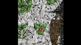 Thumbnail video Braces