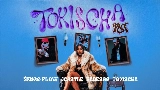 Thumbnail video Tokischa RMX