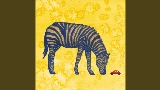 Thumbnail video Zebrapad