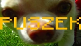 Thumbnail video TO PIPY