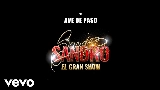 Thumbnail video Ave de Paso