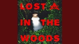 Thumbnail video Lost In The Woods