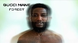 Thumbnail video Forest