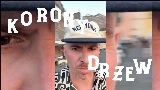 Thumbnail video Korony drzew