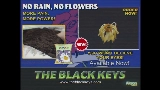 Thumbnail video No Rain, No Flowers