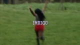 Thumbnail video Indigo