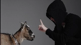 Thumbnail video 100 Tysięcy