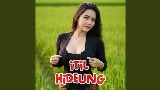 Thumbnail video Itil Hideung