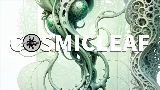 Thumbnail video World of fungi