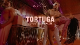 Thumbnail video Tortuga