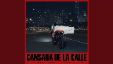 Thumbnail video Cansada De La Calle