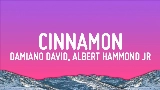 Thumbnail video Cinnamon (feat. Albert Hammond Jr)