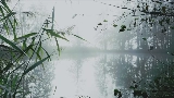 Thumbnail video reverie