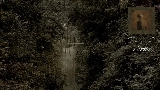 Thumbnail video Nettles