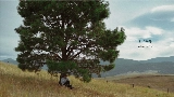Thumbnail video Daylight
